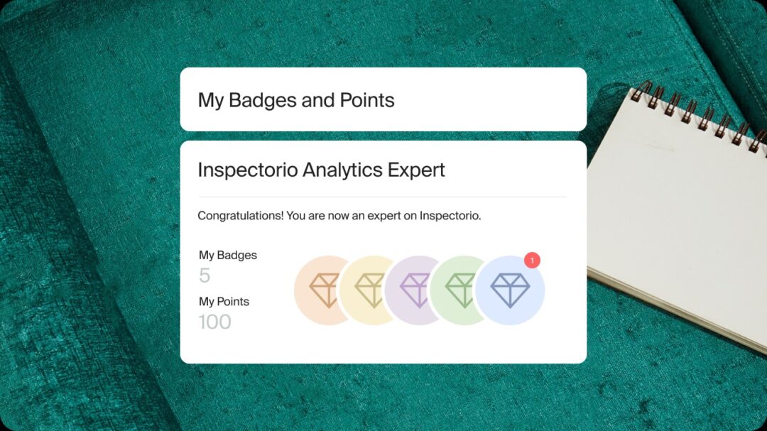 inspectorio analytics expert